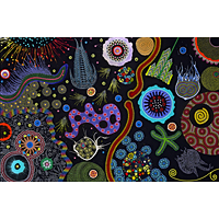zooplankton2